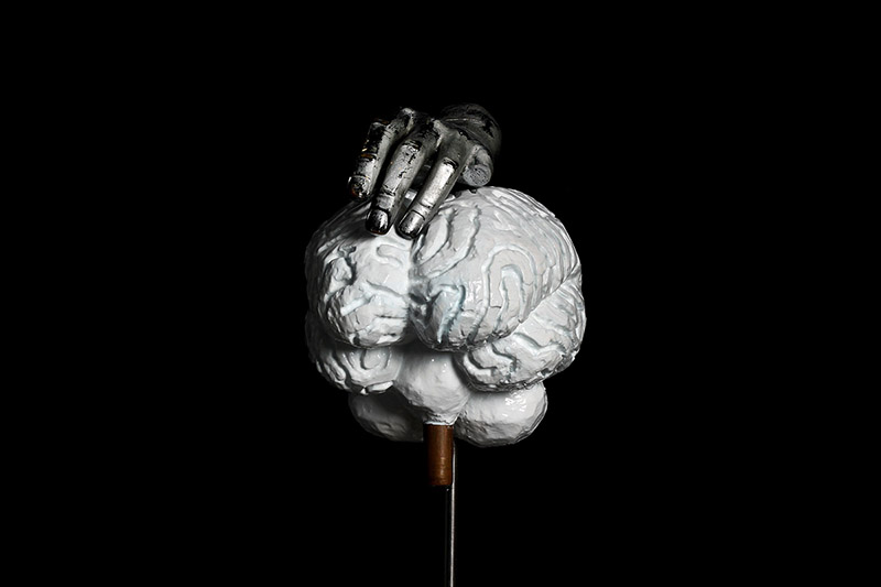 Brain from Brain series/Plaster, fiberglass, copper tube, acrylic and car paint with transparent color coating/ 27.18.135 cm/2012